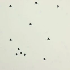 Bio Jersey Curious Bear Cream Ecru Kombistoff Von Bloome Copenhagen -STOFFBIOTOP Verkäufe Curious Bear cream ecru Kombistoff von 879 2