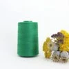 Nähgarn Blattgrün 100% Bio Baumwolle Scanfil 5000m Kone 2 Nähgarn Blattgrün 100% Bio Baumwolle Scanfil 5000m Kone -STOFFBIOTOP Verkäufe Naehgarn Blattgruen 100 Bio Baumwolle Scanfil 1002 0