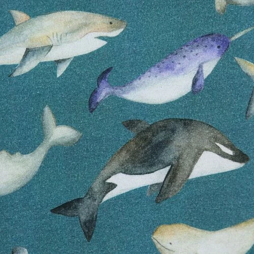 Bio Jersey Sea Creatures In Petrol 5 Bio Jersey Sea Creatures In Petrol – Bild 3